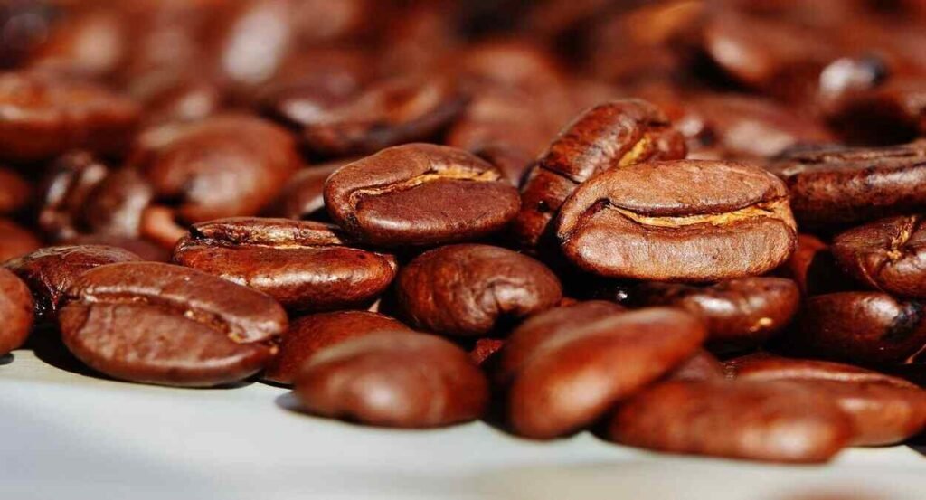 As 20 melhores marcas de café no Brasil